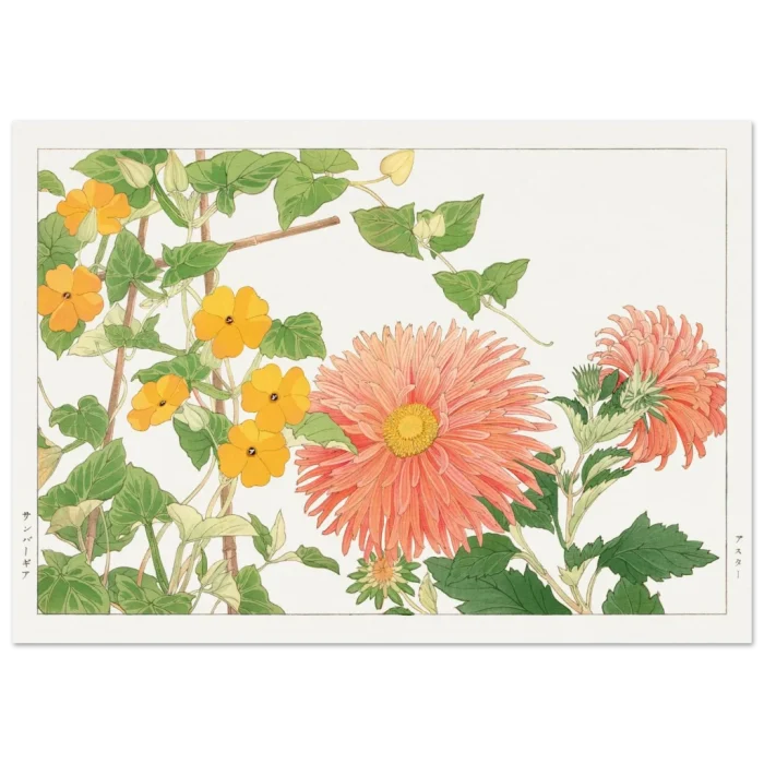 005dd699-dfc0-4226-a263-23af9070b1ea