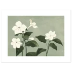 00a7ab2a-e632-4540-acec-c1a9a0bc6b84