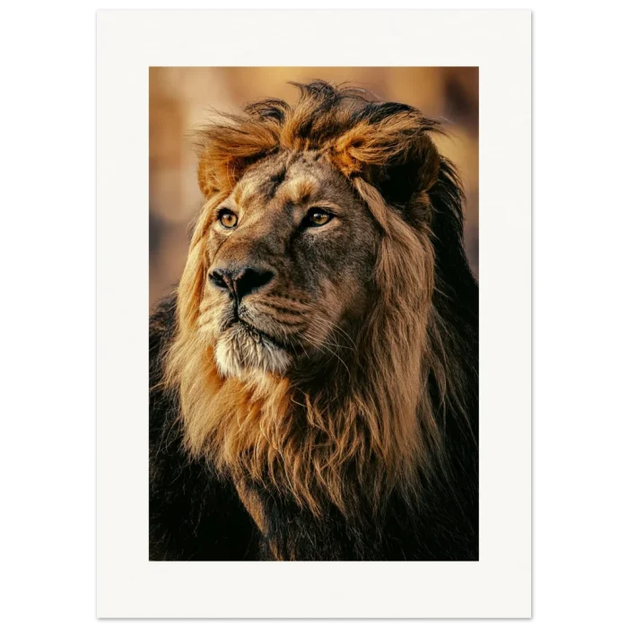 00cacabc-2074-4b26-9eef-1da7b478b5b2