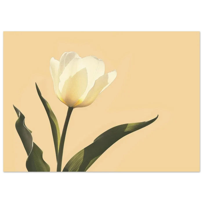 01b7e3a0-7742-4455-9b49-fe48ea12fe23