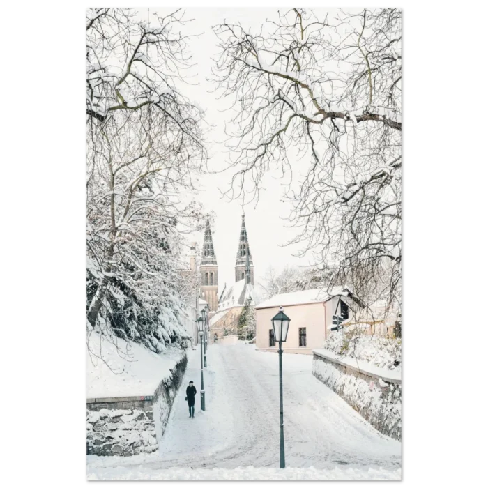 01fed935-9d1d-4145-b412-bcec1d611ed3