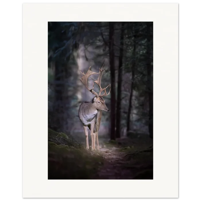 026d10ec-5211-4fc3-bbe3-9a6f5f1fe179