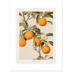 027d9a07-cd76-4233-ac9b-706db763e07b