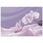 02fcc96f-62ba-4330-960d-d283d507f964