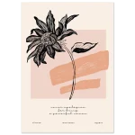 03eda246-de6a-416b-ba60-19428731094c