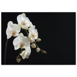 047c3e5a-2135-43c6-a261-c4a5799c160e