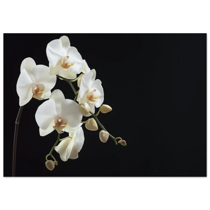 047c3e5a-2135-43c6-a261-c4a5799c160e