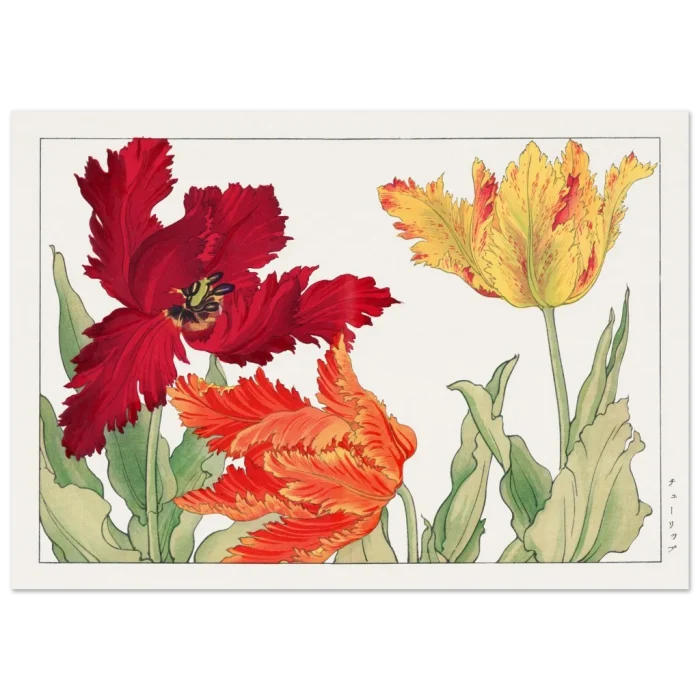 04a85a54-959d-4872-b663-a5680fc5bef6