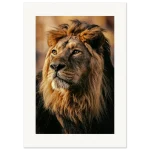 05ca76d2-6261-4775-945d-fe44d3f8dc86