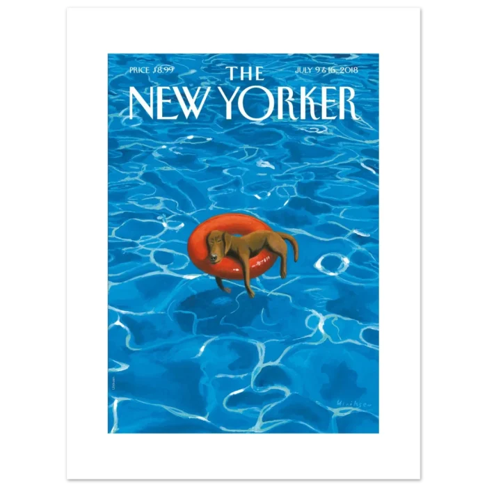 05f516d3-8560-4b8b-8a71-4e350d3ef2d6