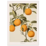 05fa052e-860c-45b4-9fdf-0ce3976e6b67