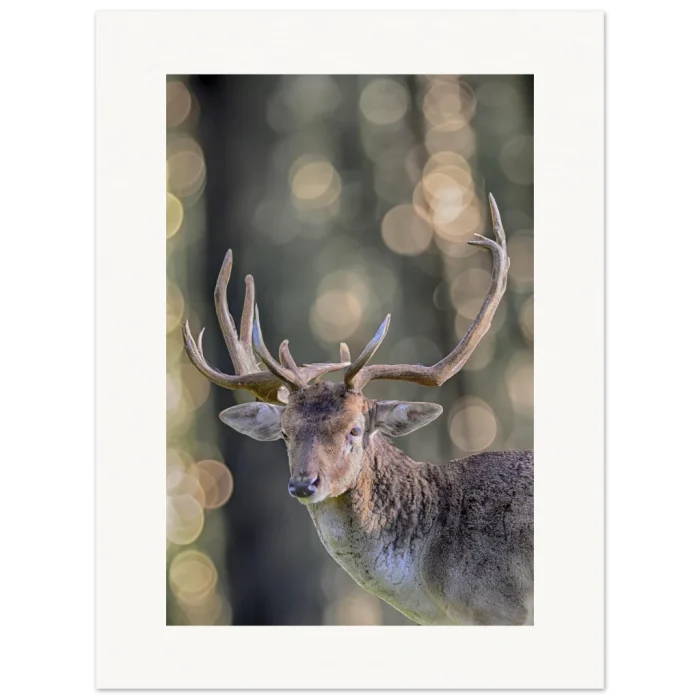 06944590-3c6d-4535-851e-6dff372b5034