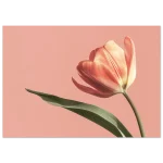 06b8d0c0-39b9-40f5-bc0f-af319c79987e