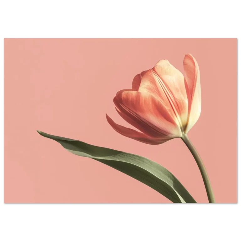 06b8d0c0-39b9-40f5-bc0f-af319c79987e