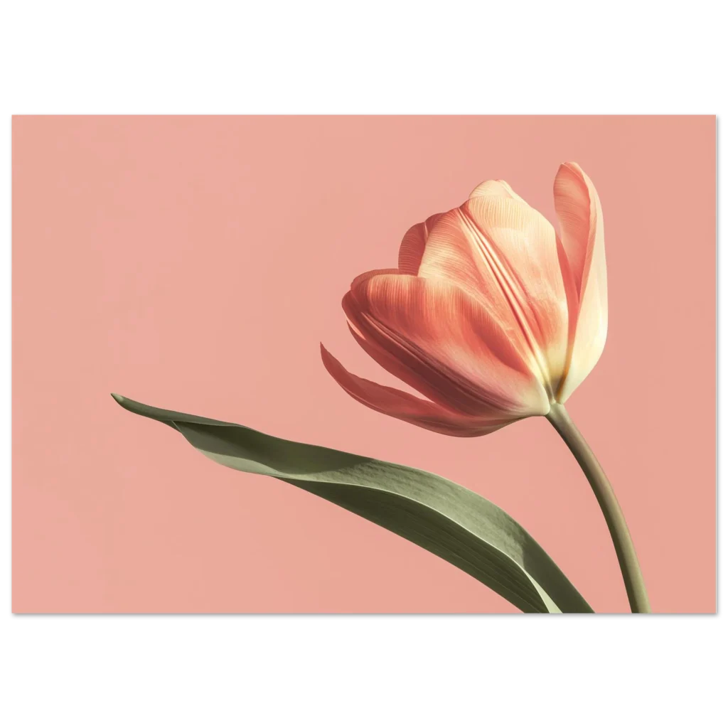 06b8d0c0-39b9-40f5-bc0f-af319c79987e.webp 06b8d0c0-39b9-40f5-bc0f-af319c79987e