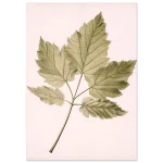 06cc9da9-9bd8-415f-a862-05c5ec05bea0