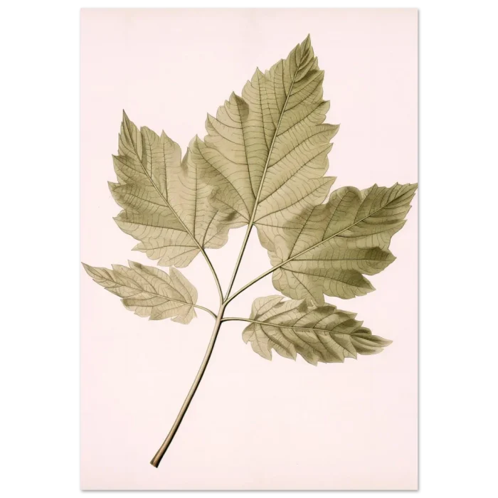 06cc9da9-9bd8-415f-a862-05c5ec05bea0