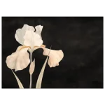 07777e45-a0fe-45ce-949a-42db56d0bf68