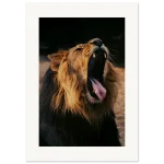 07adf413-621f-4d10-873b-ef7789697af4