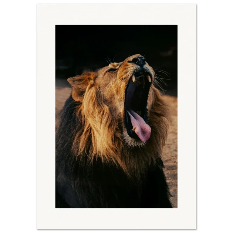 07adf413-621f-4d10-873b-ef7789697af4