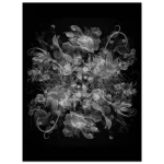 40 x 50 - Dark Bloom Botanical Art Print | Premium Matte Paper Poster with Ethereal Floral Design - Image 6