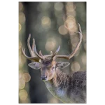 08d42f8b-6783-4229-a01f-7649ca1be723