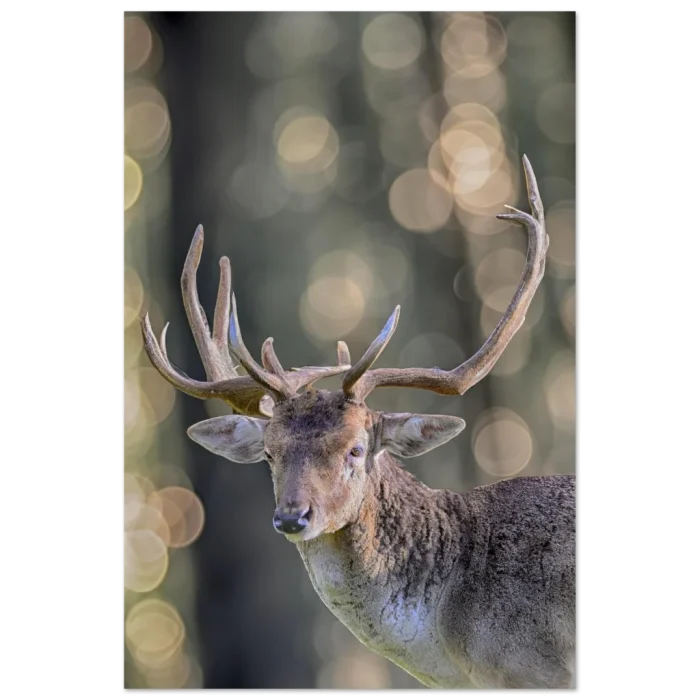 08d42f8b-6783-4229-a01f-7649ca1be723