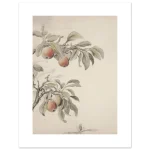 09090ce5-fe4f-4bb5-b0c6-5dfdc81966c2