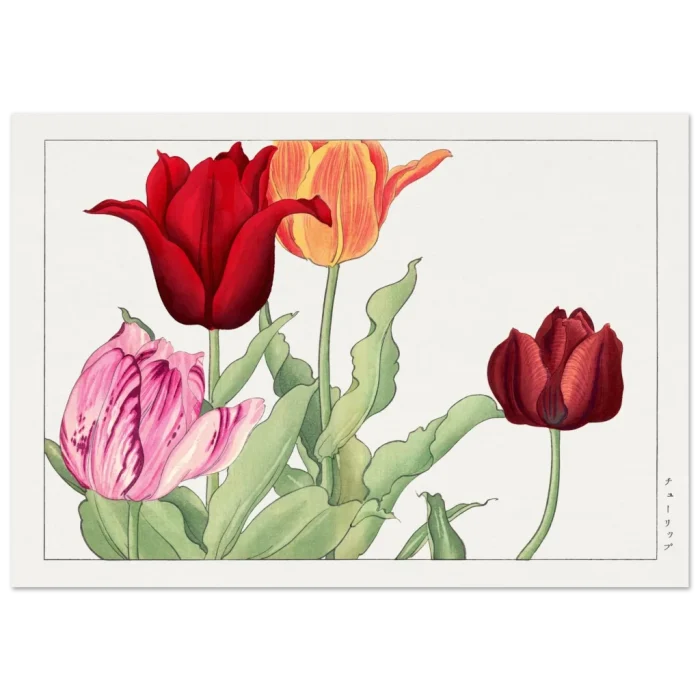 0ae2e014-8afe-41db-9066-39c12fd4b02a