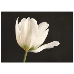 0bae2e5a-856f-4ac9-92bc-897ddb03dfbc