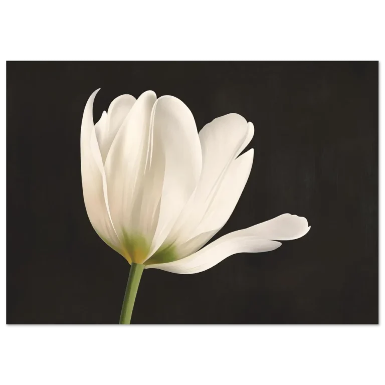 0bae2e5a-856f-4ac9-92bc-897ddb03dfbc