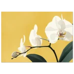 0bc23e41-5580-403d-9076-ca8e1856b4ee