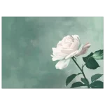 0d2ec335-e201-4fdd-99cc-99e368ca34c0