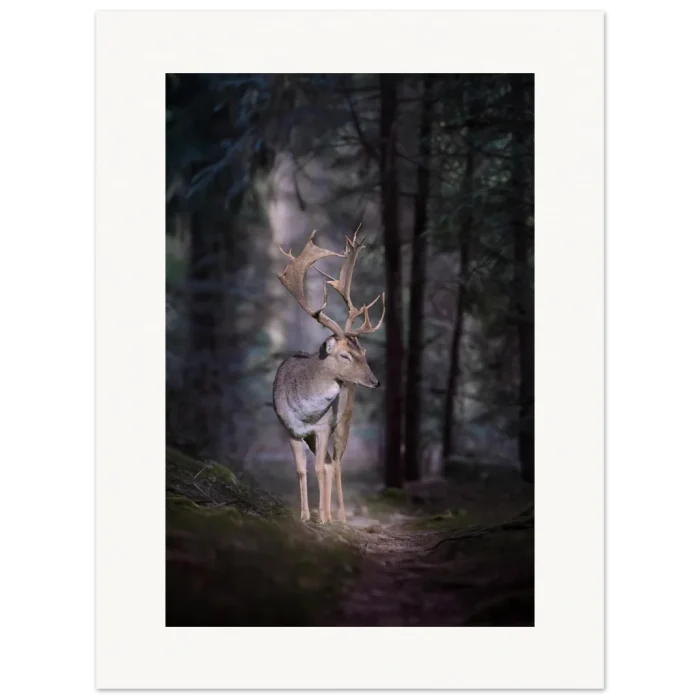 0dae53e1-fbca-4aa3-8aca-93954f7f1ac7