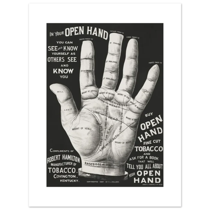 0ed24506-6f27-4d43-b946-e505ba25b023