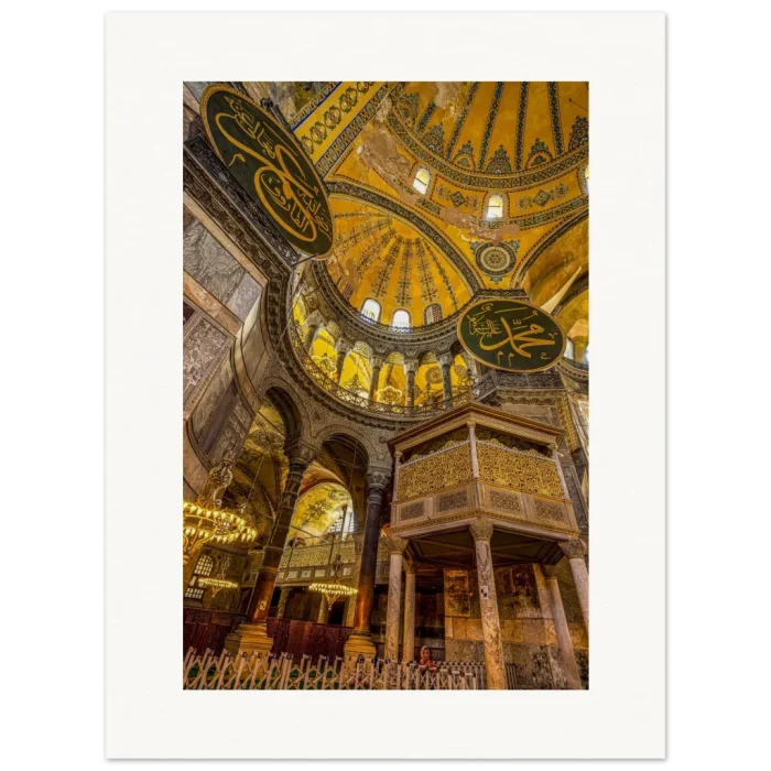 11393d2d-b43e-41ef-b141-d8a35d028929