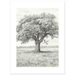 11f0fe1e-6cc4-48c9-823e-8ee69b8ec075