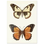 121873d6-72c6-4ad7-8d46-da517f87c110