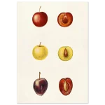 12b0ec40-c319-451b-bf24-431376d2ae48