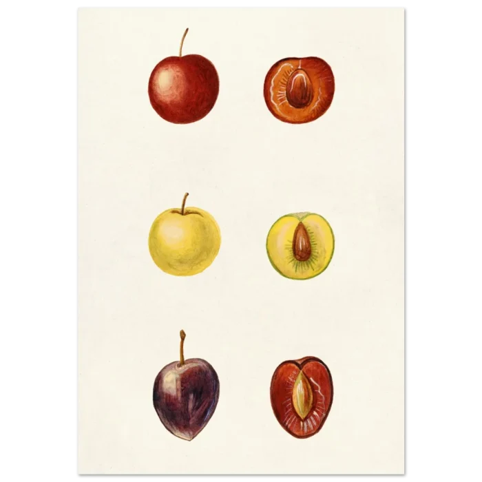 12b0ec40-c319-451b-bf24-431376d2ae48