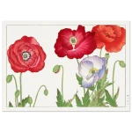 12bbc034-e705-474a-a60f-363807b23051