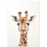 13630a3b-de29-40b6-8107-a1352978a03b