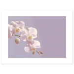 156e7a3a-8f52-4581-a5e2-1ce1f98cd946