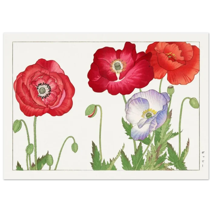 163e62f8-a1f8-401b-851d-7aa389482b46