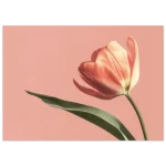 1696dd34-1e03-4903-a703-7f28119d5d60