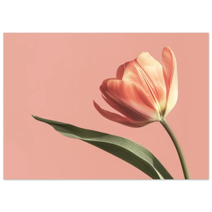 1696dd34-1e03-4903-a703-7f28119d5d60