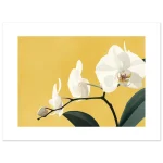 16a594c5-f645-4881-b5bf-96c2d4c80408