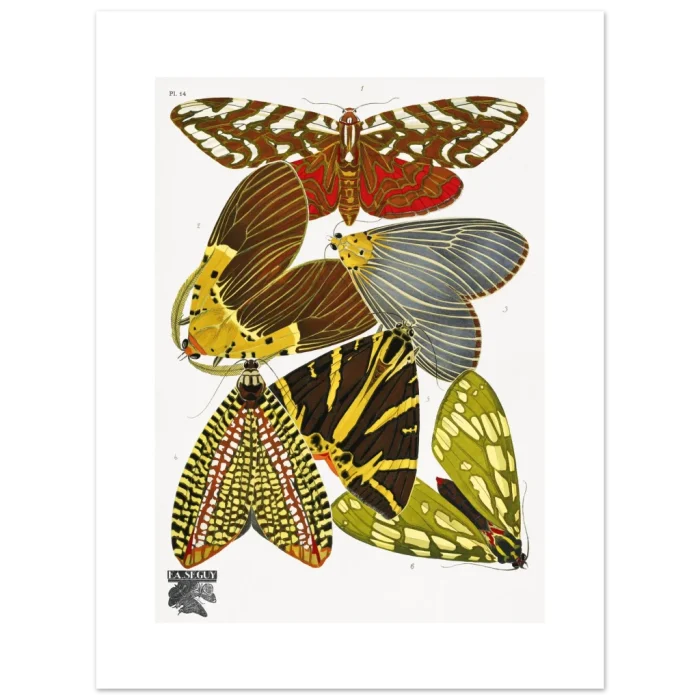 16debe32-fa3a-4882-aa76-0b0507b29b2f