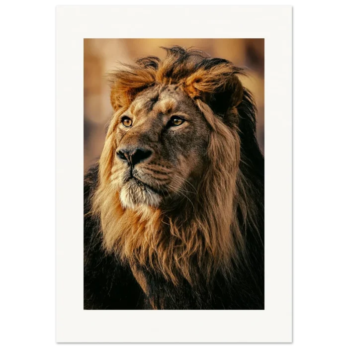 17286764-5907-4a1c-b38b-d1b32c9a7cb5