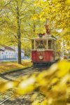 Historic Prague Tram 349 - Autumn Transport Scene